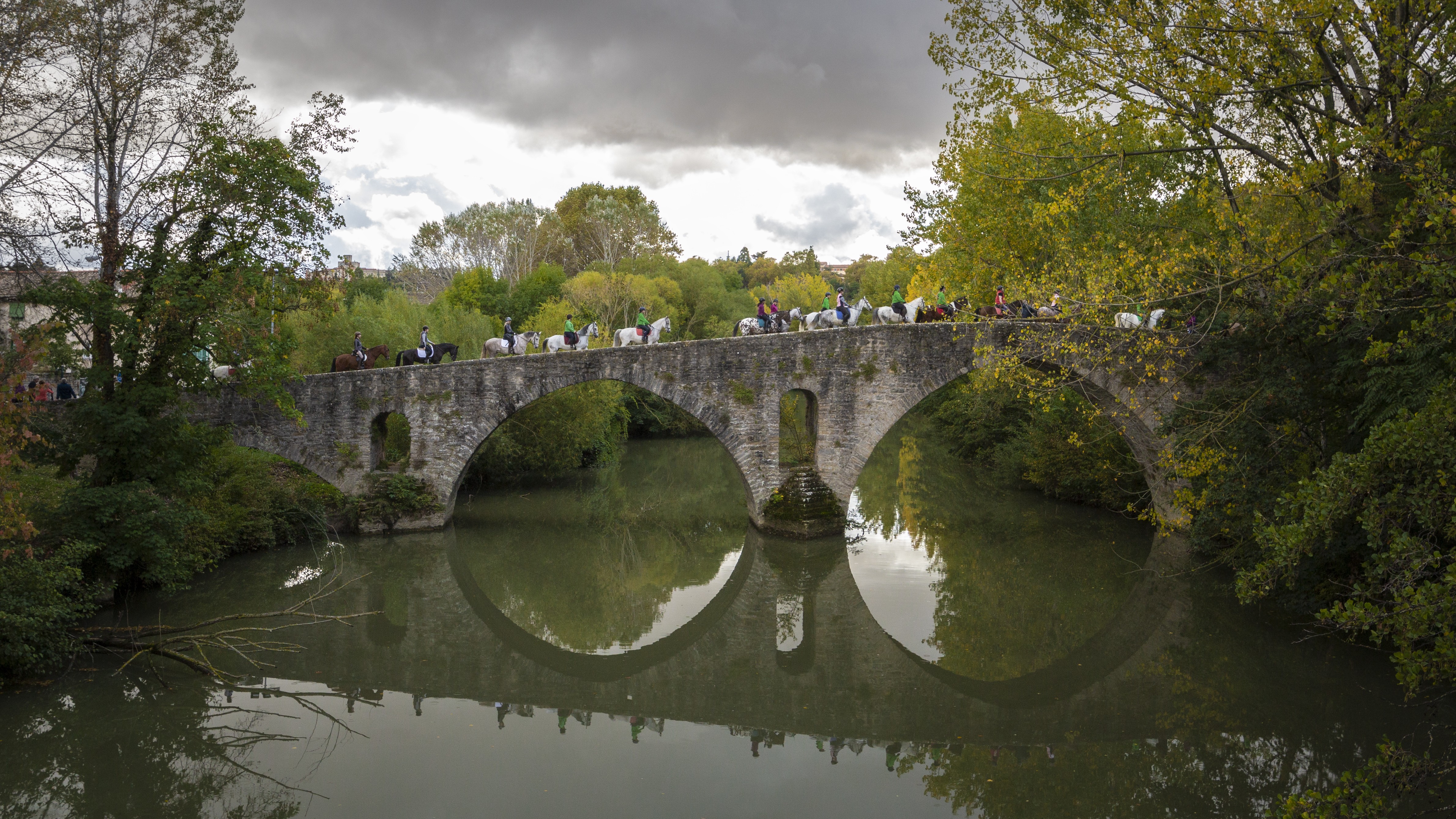 Gran Éxito de la Primera Concentración del Camino de Santiago a Caballo